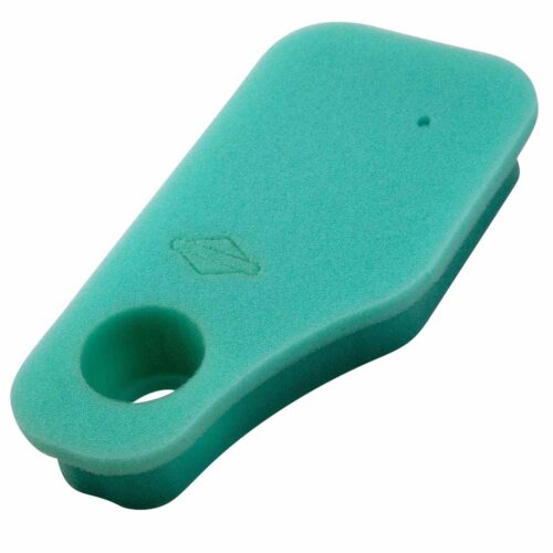 Briggs 270528 (INSATS-FILTER)