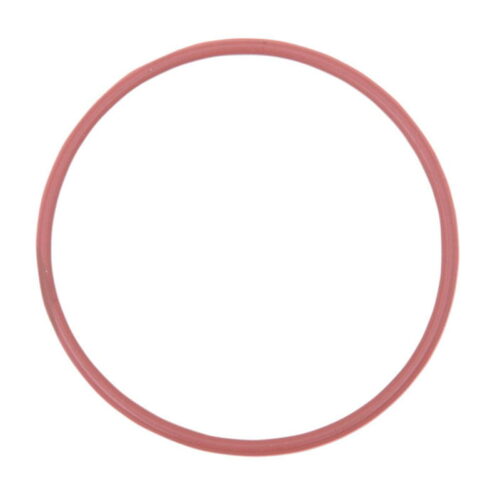 O-Ring (420230923)