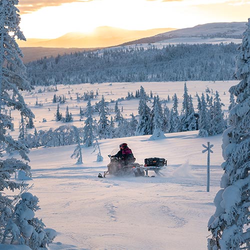 snow snöskoter 500x500