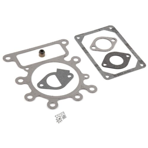 Briggs Packningssats-Ventil (796189)