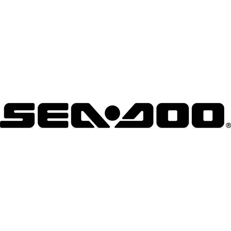 seadoo 1000